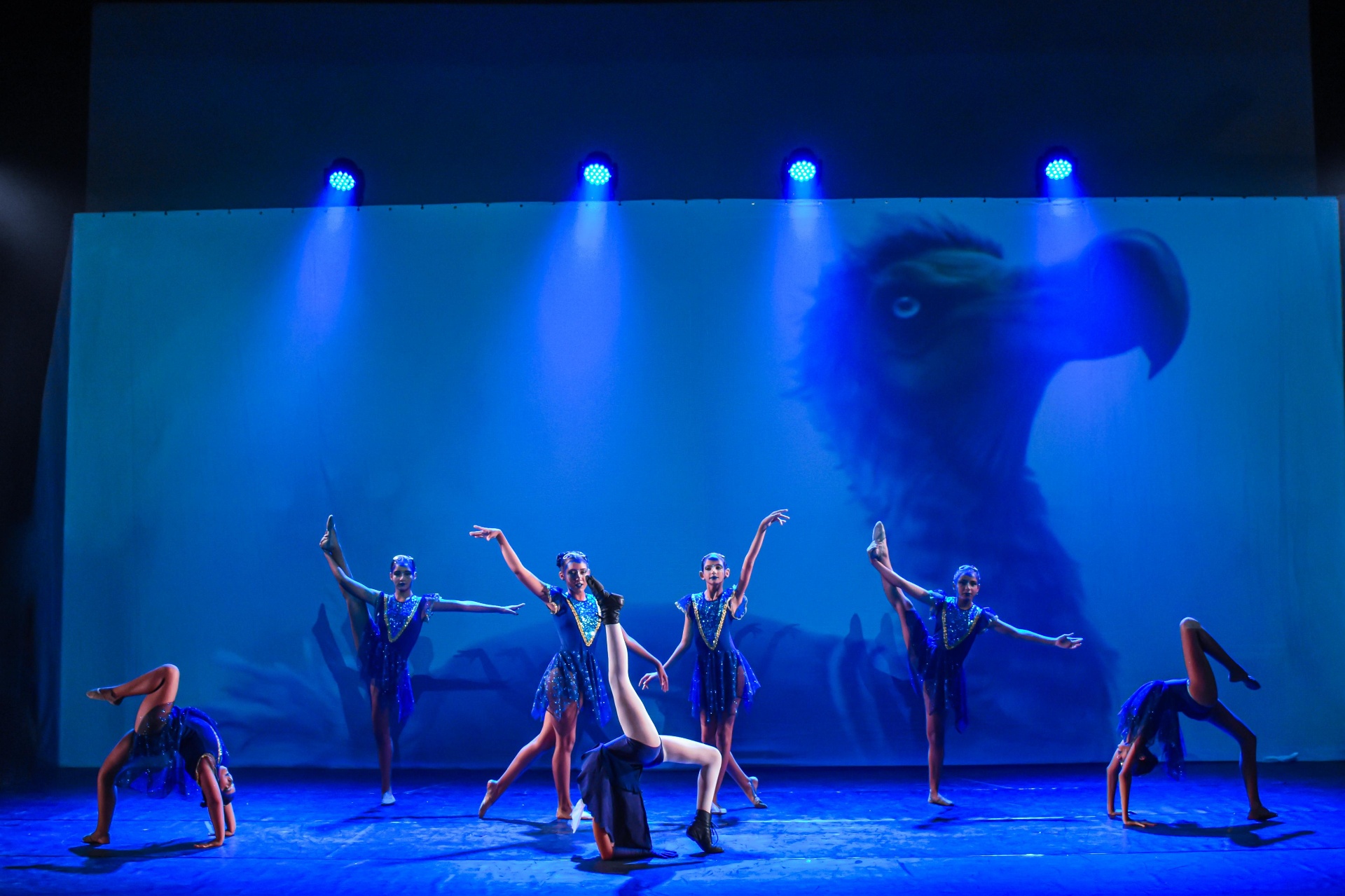 Bailarinas em azul com projeção de pássaro ao fundo no espetáculo Alice