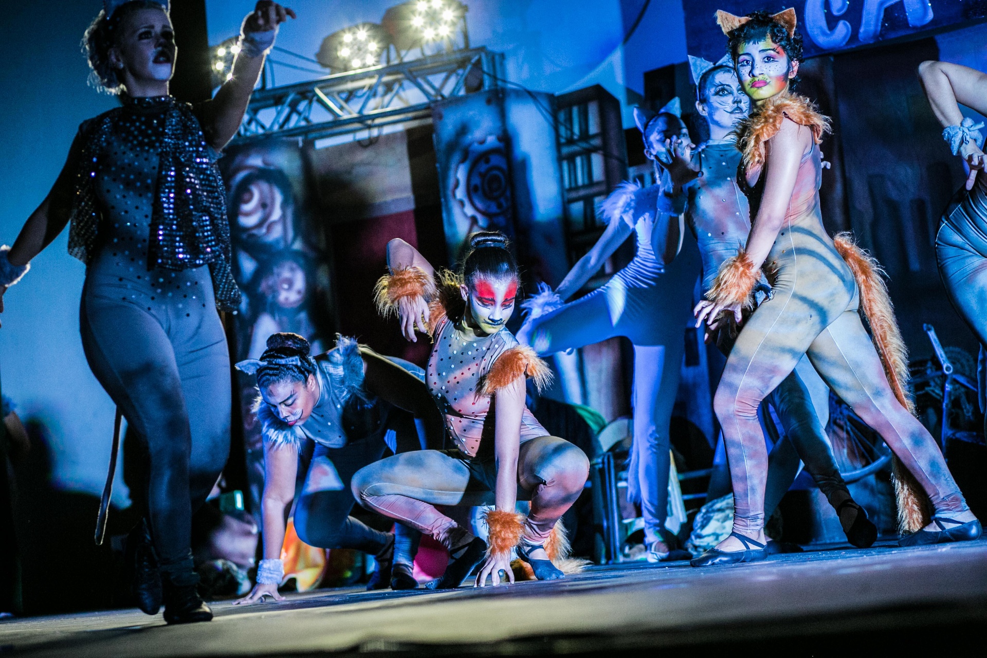 Close do elenco caracterizado em cena intensa do Cats