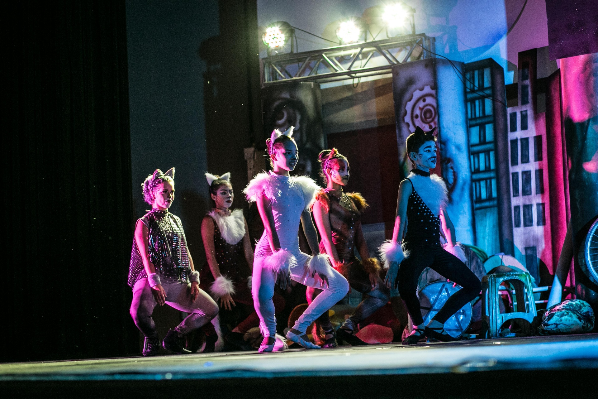 Formação colorida do elenco do Cats sob luzes rosa e azul
