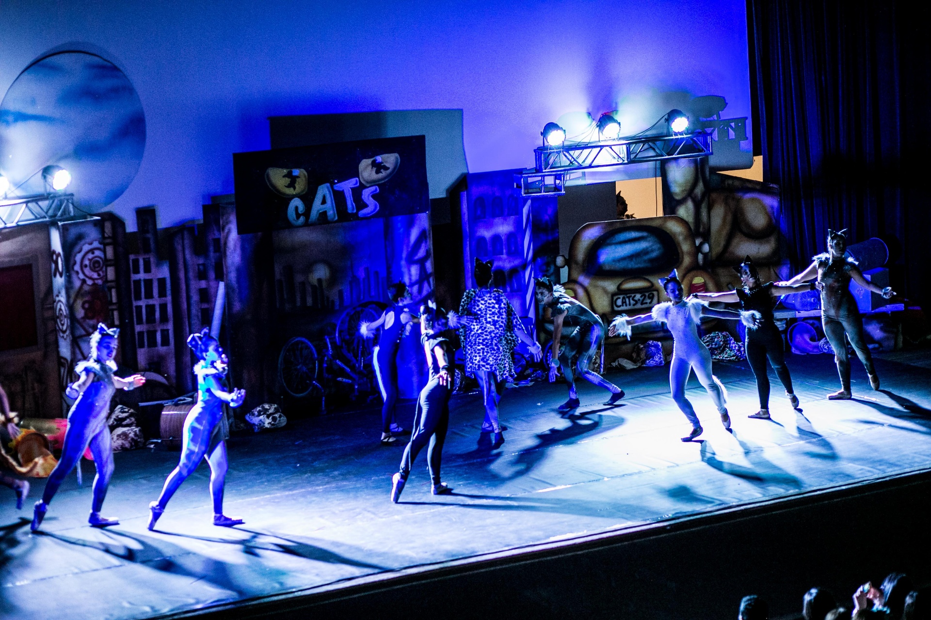 Cena de abertura com elenco espalhado pelo palco no espetáculo Cats