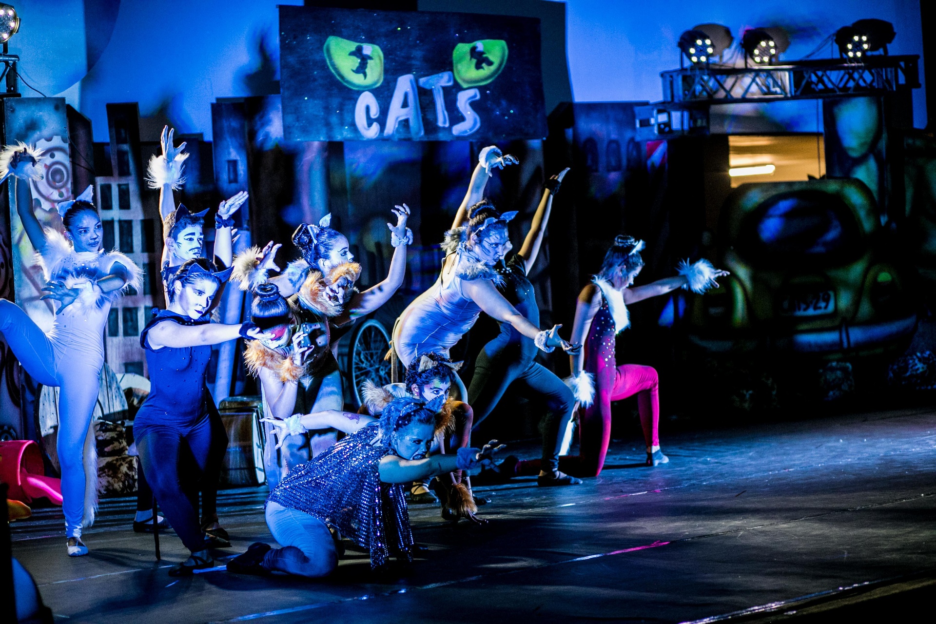 Bailarinos em coreografia em grupo no espetáculo Cats